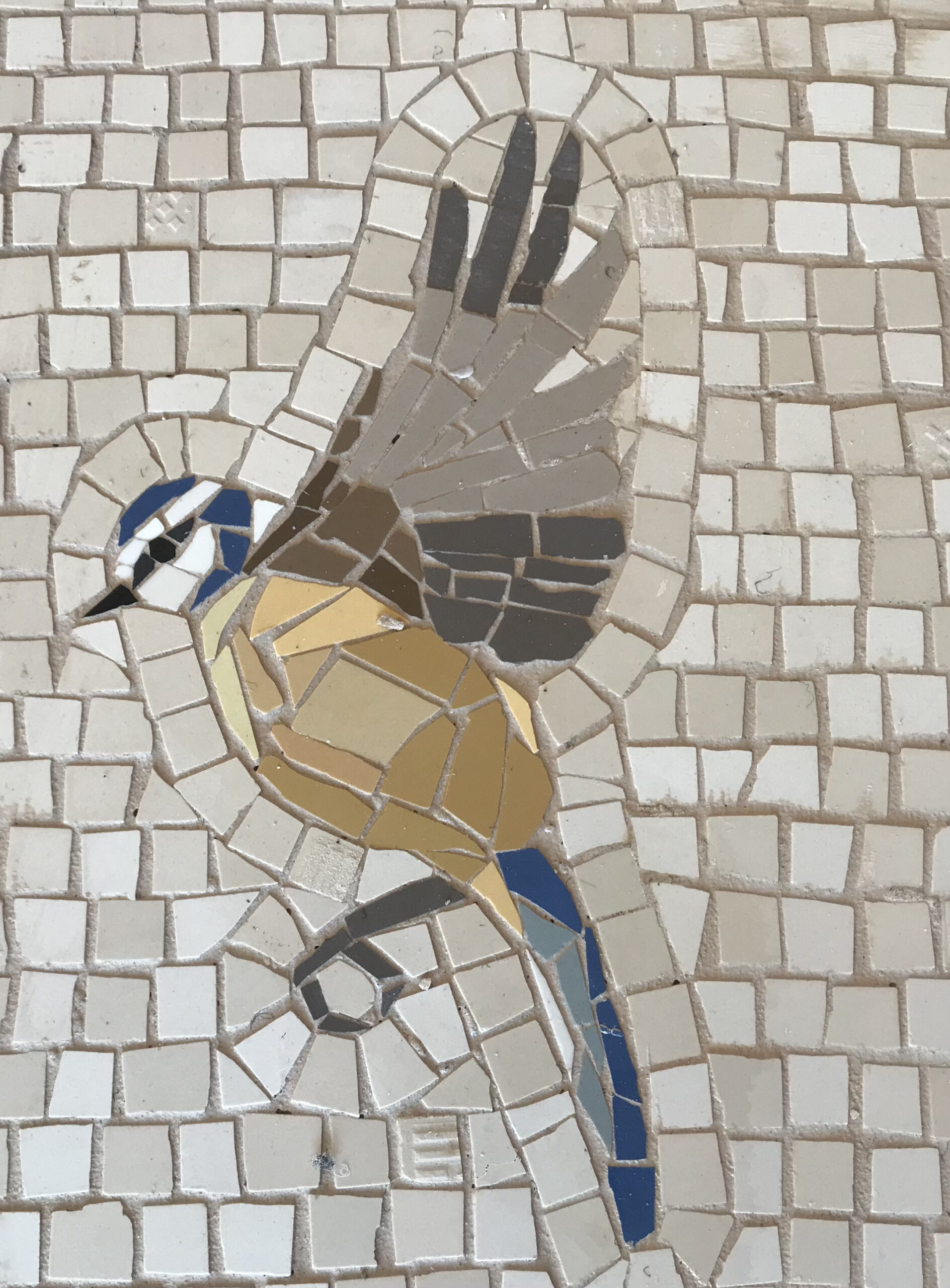 Bluetit mosaic detail